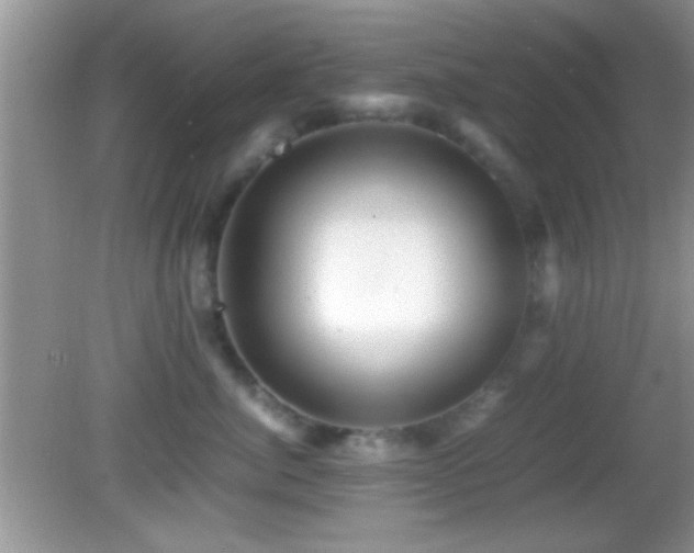 X0000082720764200701261219