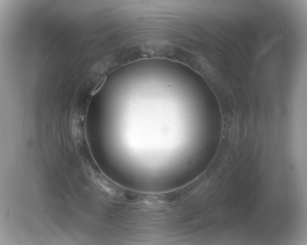 X0000082720770200701261218