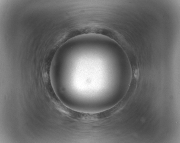 X0000082720771200701261218