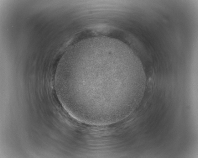 X0000082720772200701261218