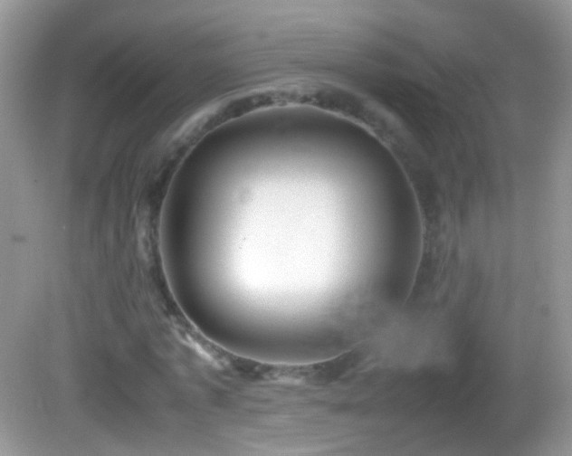 X0000082720773200701261218