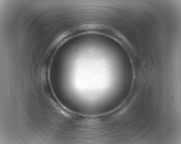 X0000082720778200701261218
