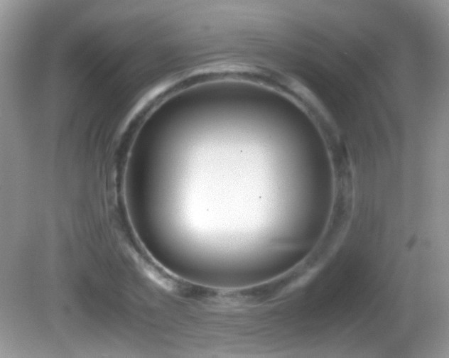X0000082720781200701261218