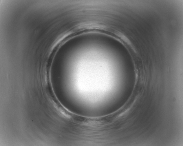X0000082720782200701261218