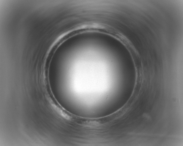 X0000082720784200701261218