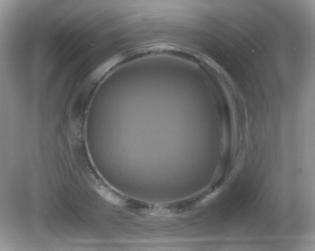 X0000082720785200701261218