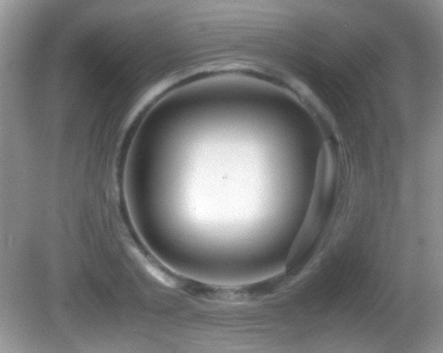 X0000082720789200701261218