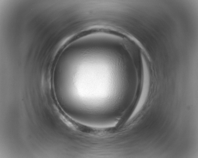 X0000082720791200701261218
