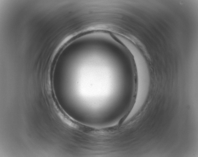 X0000082720792200701261218