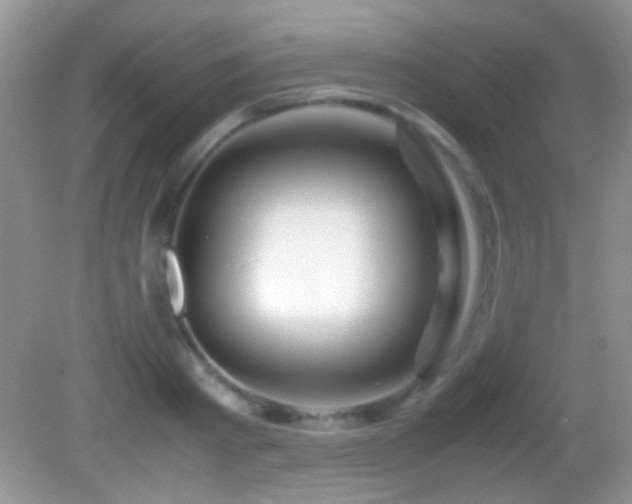 X0000082720793200701261218