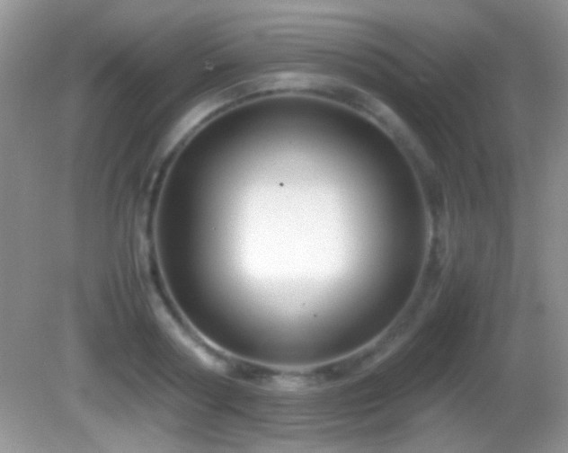 X0000082720794200701261218