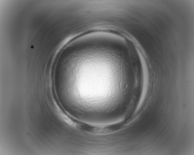 X0000082720795200701261218