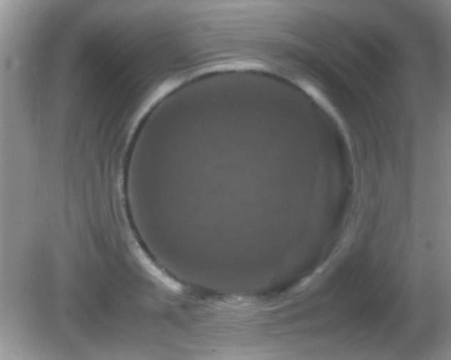 X0000082720797200701261218