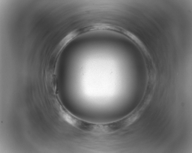 X0000082720809200701261217