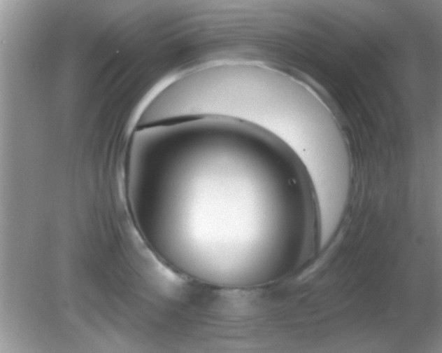 X0000082720812200701261217
