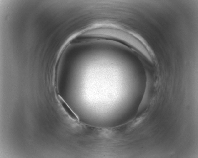 X0000082720815200701261217
