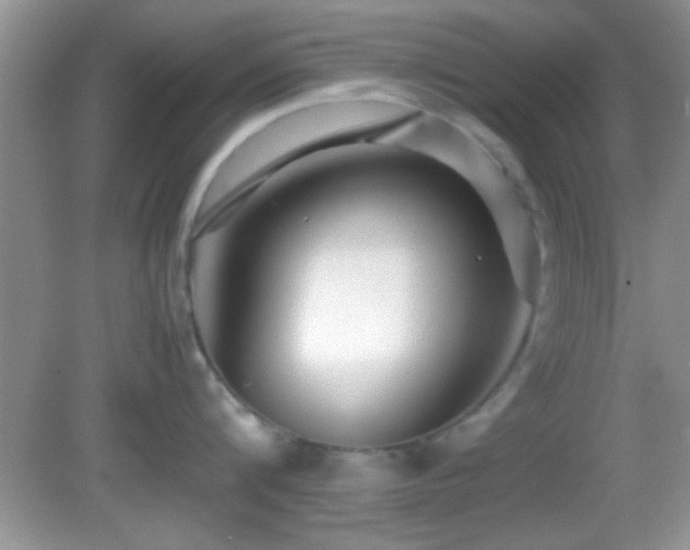 X0000082720816200701261217