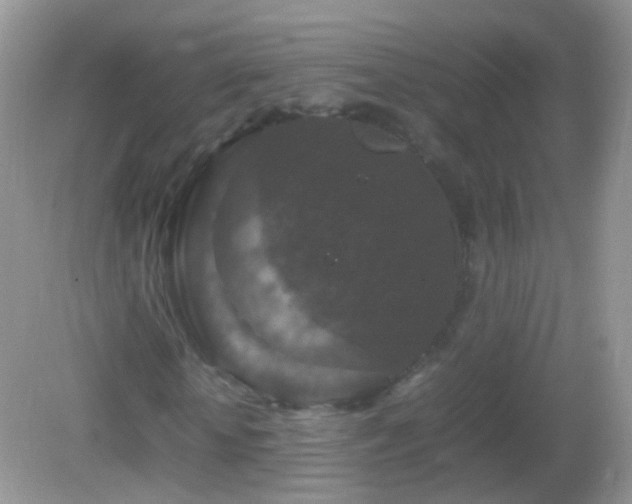 X0000082720818200701261216