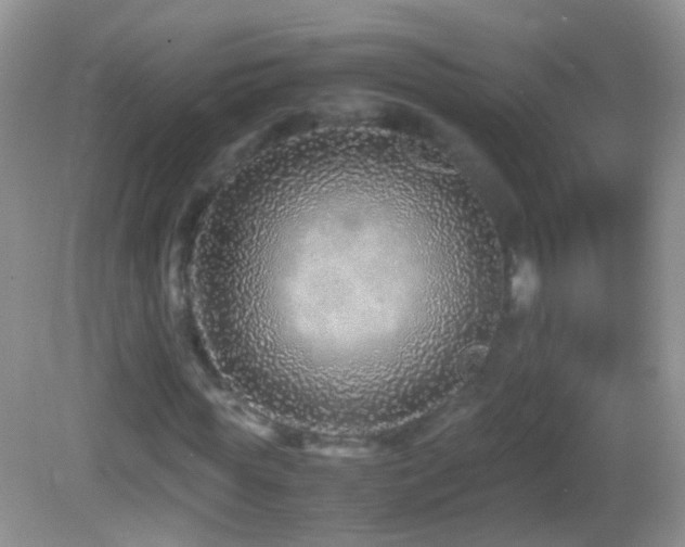 X0000082720819200701261216