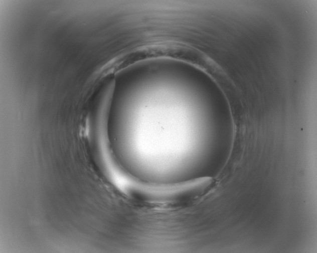 X0000082720822200701261217