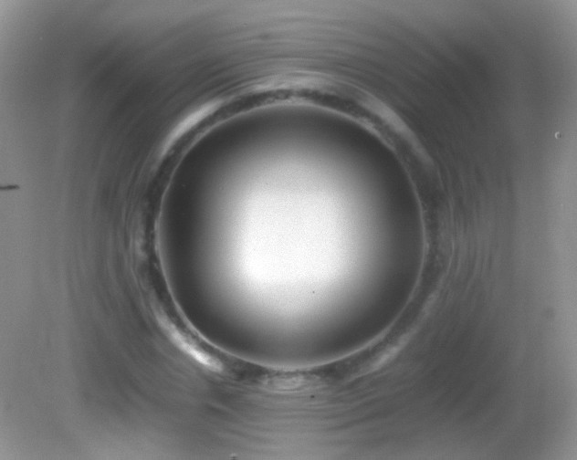 X0000082720826200701261217
