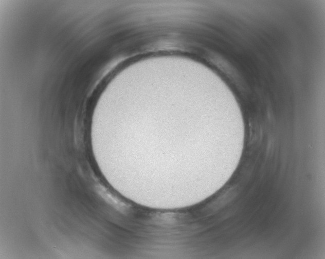 X0000082720828200701261217