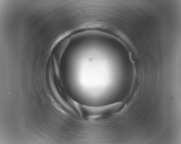 X0000082720834200701261217