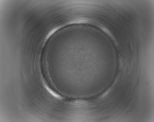 X0000082720842200701261217