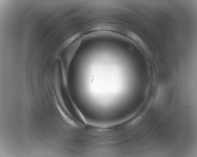 X0000082720849200701261217