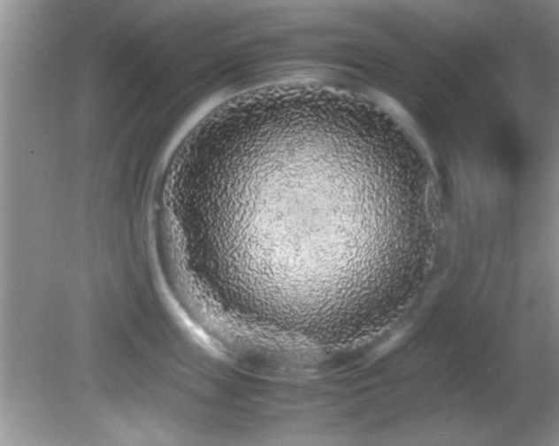 X0000082720859200701261217