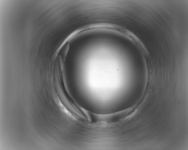 X0000082720860200701261217