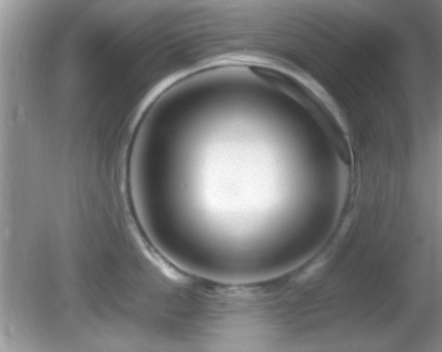 X0000082720862200701261217