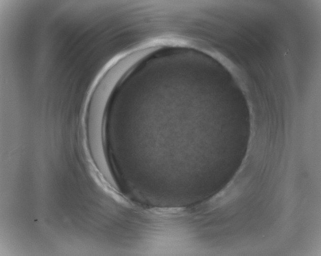 X0000082720864200701261217