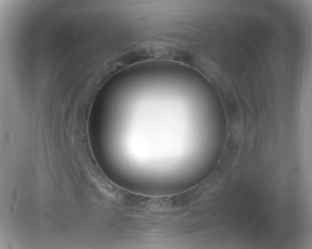 X0000082720865200701261216