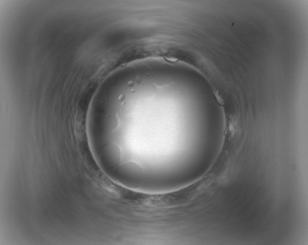 X0000082720867200701261216