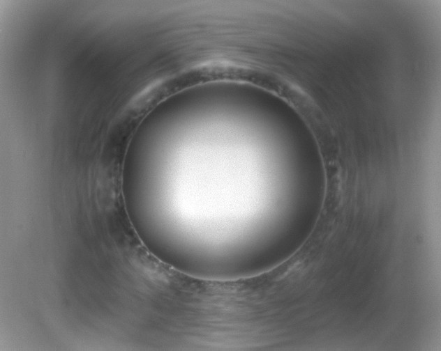 X0000082720870200701261216