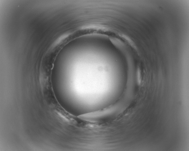 X0000082720872200701261216