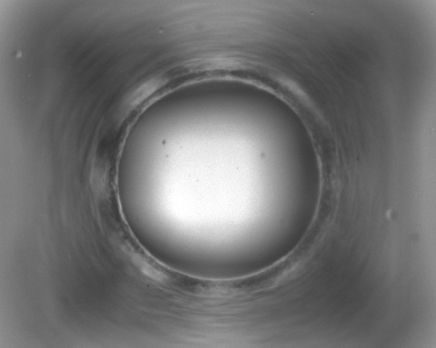 X0000082720873200701261216