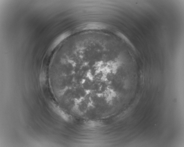 X0000082720874200701261216
