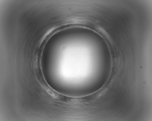 X0000082720875200701261216