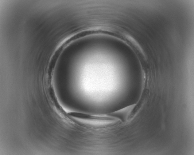 X0000082720876200701261216