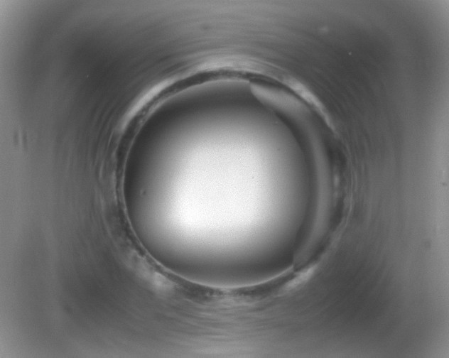 X0000082720877200701261216