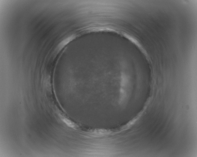 X0000082720881200701261216
