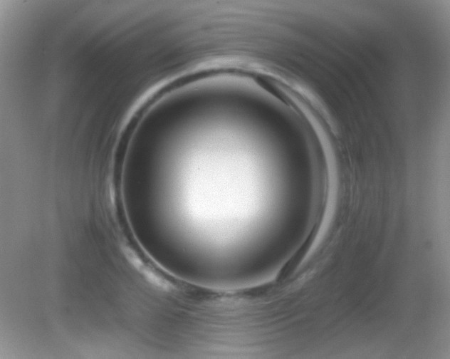 X0000082720888200701261216