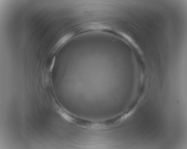 X0000082720889200701261216