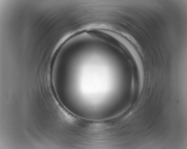 X0000082720894200701261216