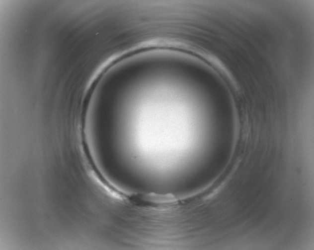 X0000082720896200701261216