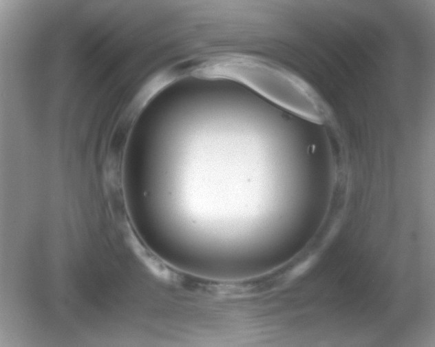 X0000082720905200701261216