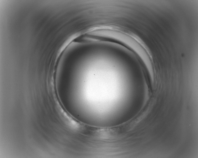 X0000082720906200701261216