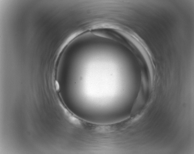 X0000082720909200701261216